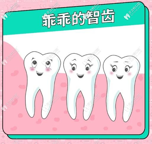 超超全拔牙價(jià)目表,天啦嚕沒(méi)天理,有的阻生智齒竟然需要5000